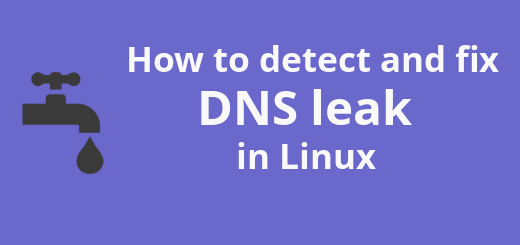 cheak dns leak linux