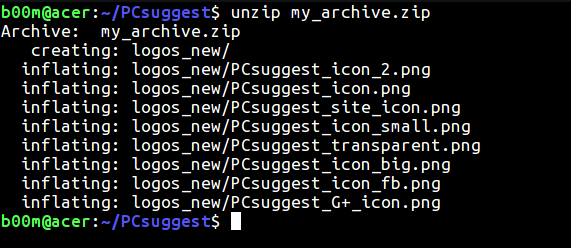 unzip linux command example